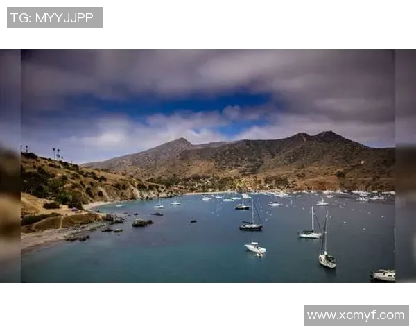 尽享足球魅力全部足球明星壁纸尽在掌握之中