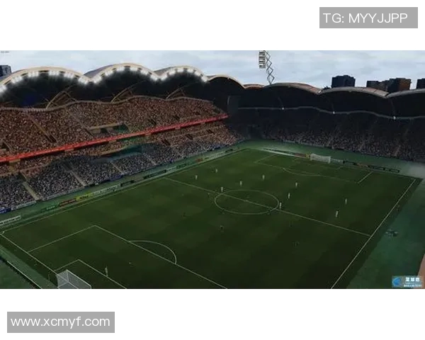 蓉港足球明星阵容全景展示，见证球场上的璀璨星光与激情瞬间