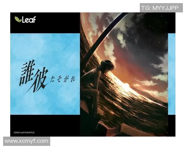 夕阳下的篮球传奇：一位明星的辉煌与坚持之路